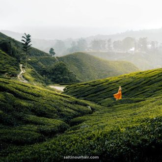 cameron-highlands-malaysia-1607x1440